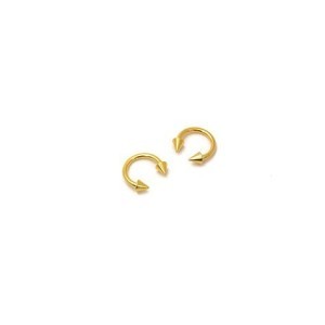 Circular barbell con conos Gold plated.